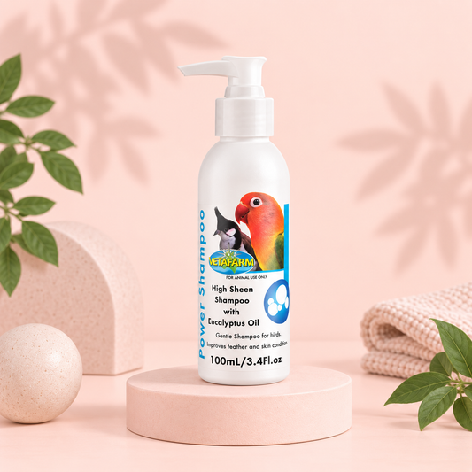 Power Shampoo